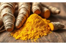 Turmeric — Botanical Overview, Traditional Context, and Research Notes